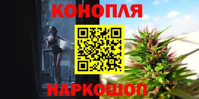 гашик Кулебаки