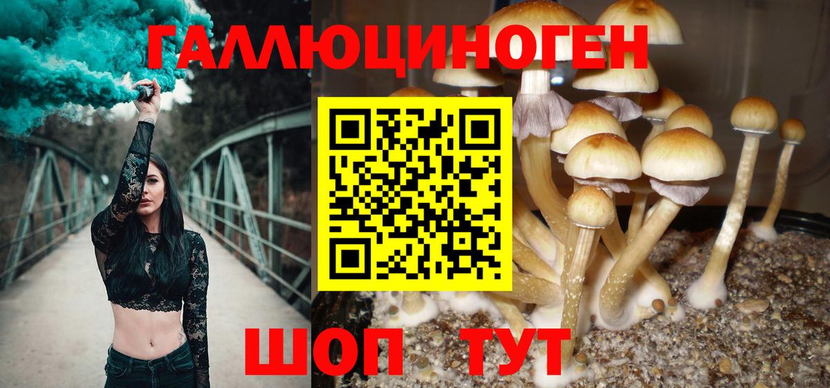 Псилоцибиновые грибы ЛСД Клинцы