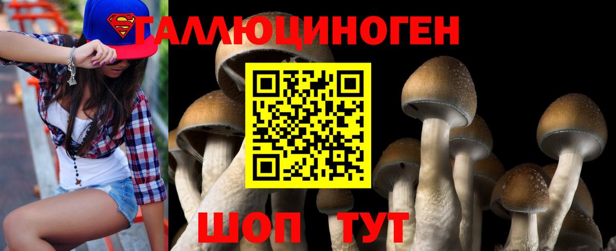 Клинцы  Псилоцибиновые грибы Magic Shrooms  Вход с VPN  Псилоцибиновые грибы прущие грибы 